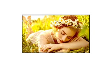 LG 55UL5Q / Monitor webOS UHD Signage 55  /