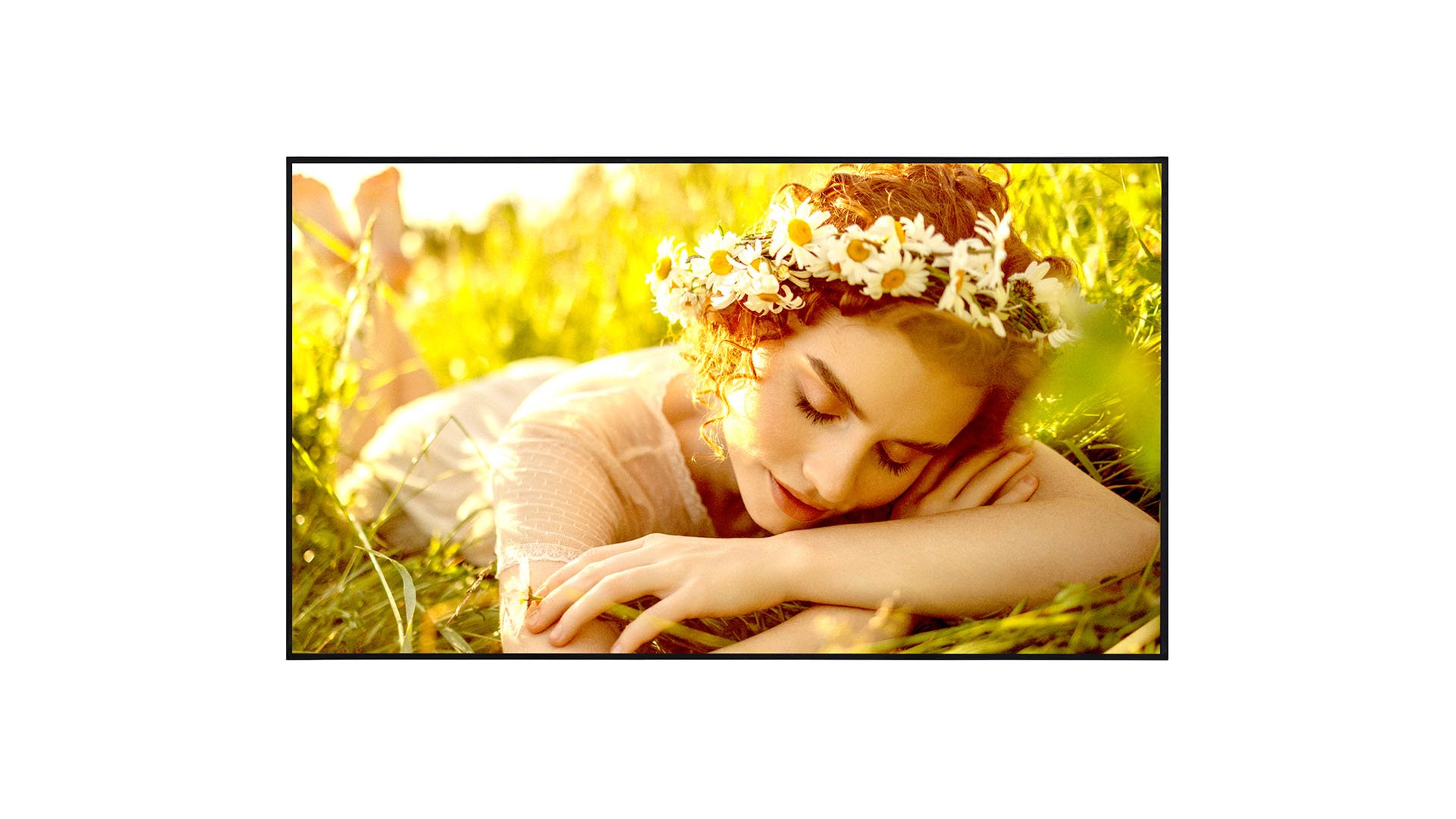 LG 55UL5Q / Monitor webOS UHD Signage 55  /